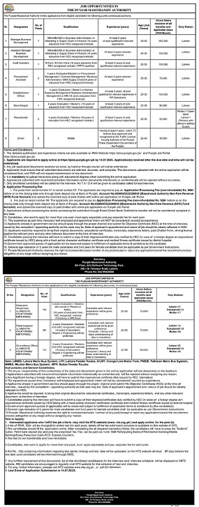 Punjab Masterset Authority Jobs 2025 Latest Advertisement